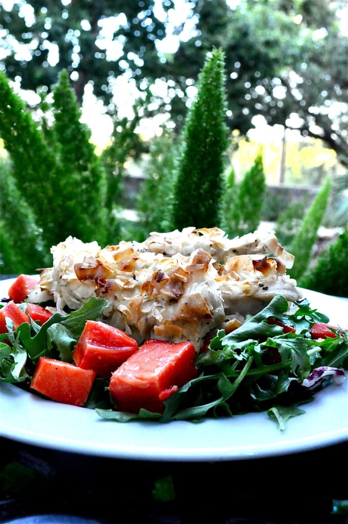 paleo coconut chicken strips