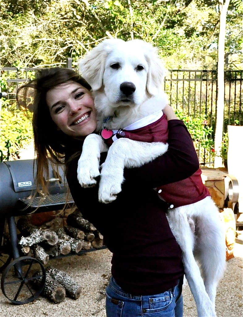 woman holding a large white dog