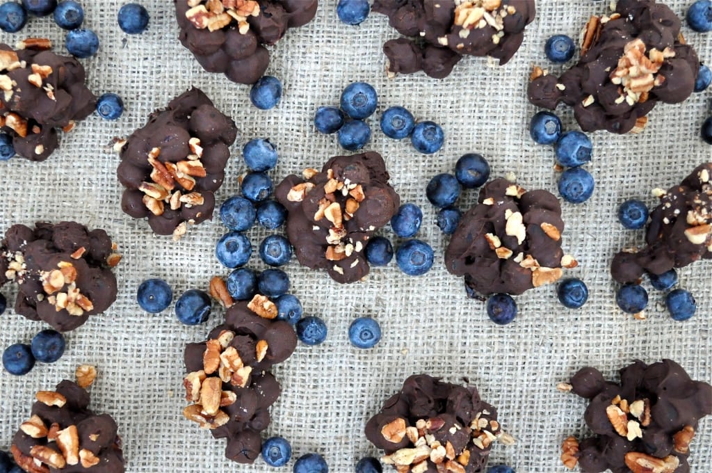 dark chocolate blueberry clusters