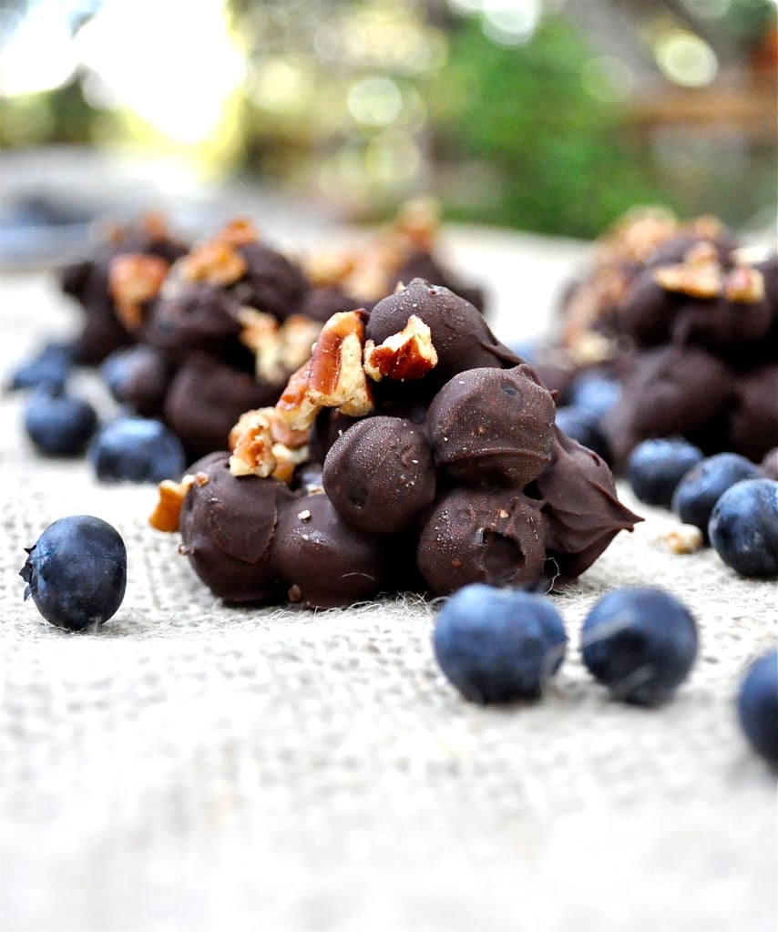 dark chocolate blueberry clusters