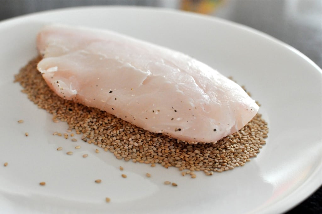 Sesame Seed Crusted Snapper