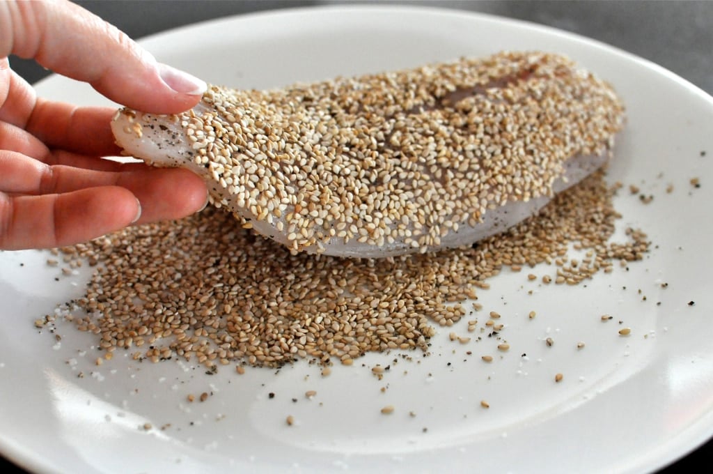 Sesame Seed Crusted Snapper