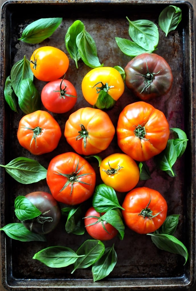 fresh tomatoes on a sheet pan