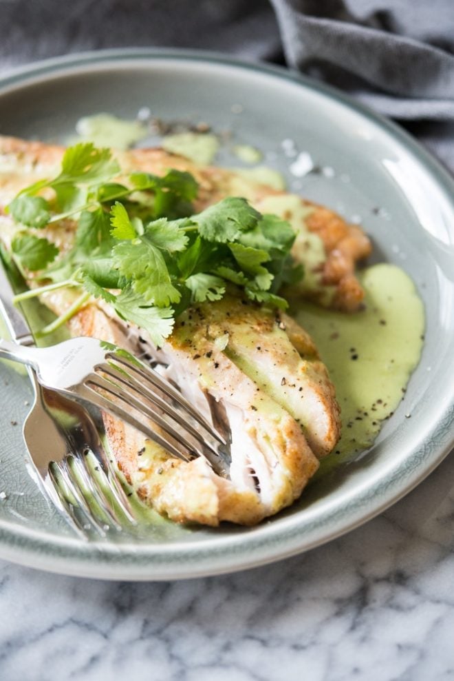 Pan Fried Butter Snapper topped with cilantro cream sauce and fresh cilantro leaves on a gray plate