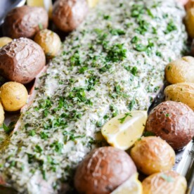 This herb crusted salmon and potato bake is an easy way to get dinner party-worthy meal on the table. A whole salmon filet is topped with a simple, but flavorful lemon-herb sauce and accompanied by crisp baby potatoes!