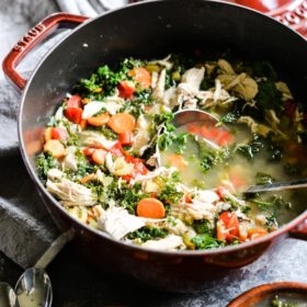 Squeaky Clean Chicken & Veggie Soup