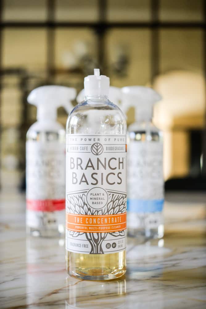 Safer Cleaning Products Branch Basics