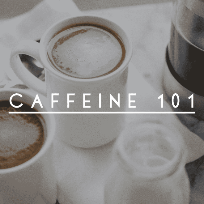 caffeine 101