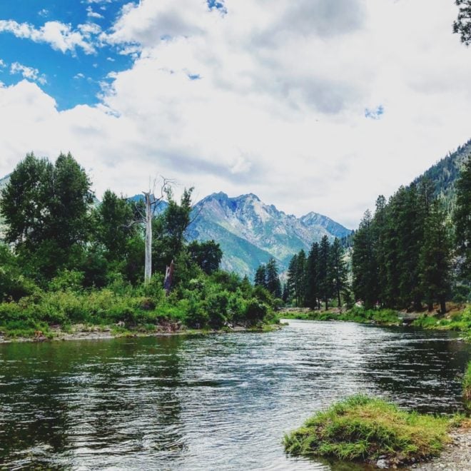 Wild Water River Guides