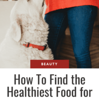 How to Find the Healthiest Food for Your Dog