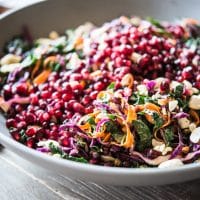 Winter Veggie Coleslaw