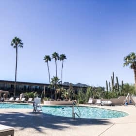 the pool at a wellness retreat in phoenix with palm trees in the background