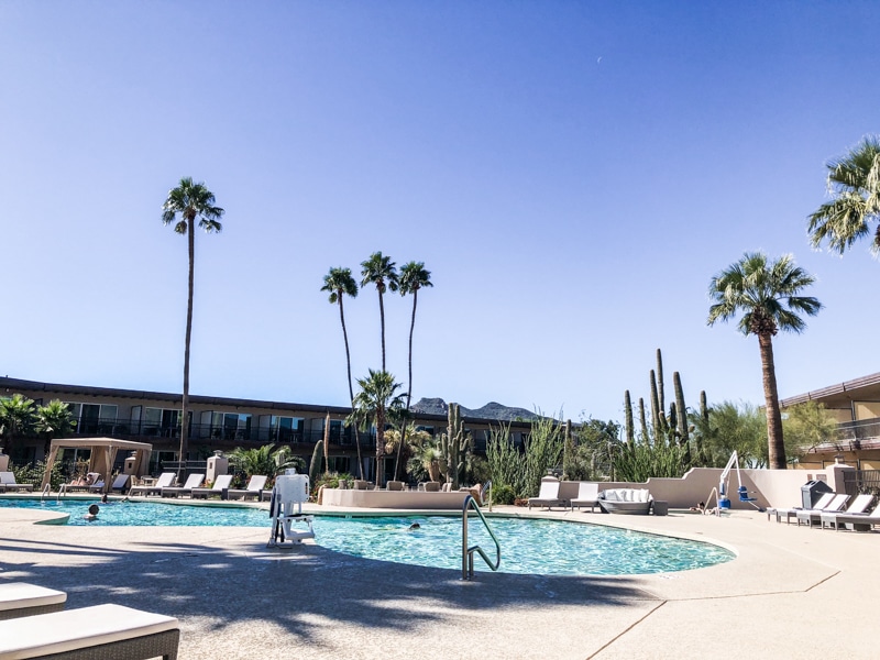 the pool at a wellness retreat in phoenix with palm trees in the background