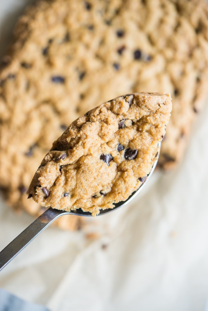 spoonful of gluten free chocolate chip cookie cake
