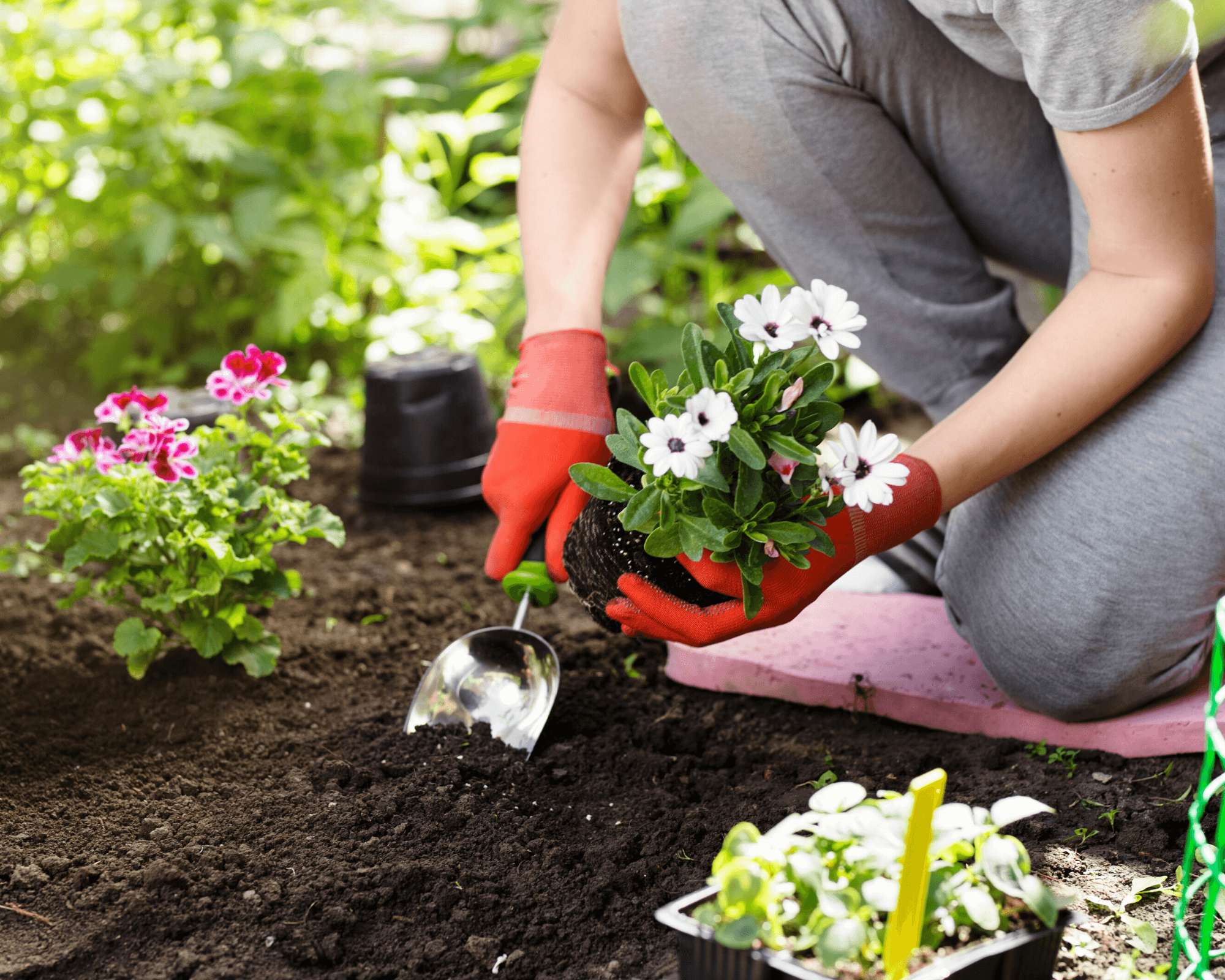 woman gardening