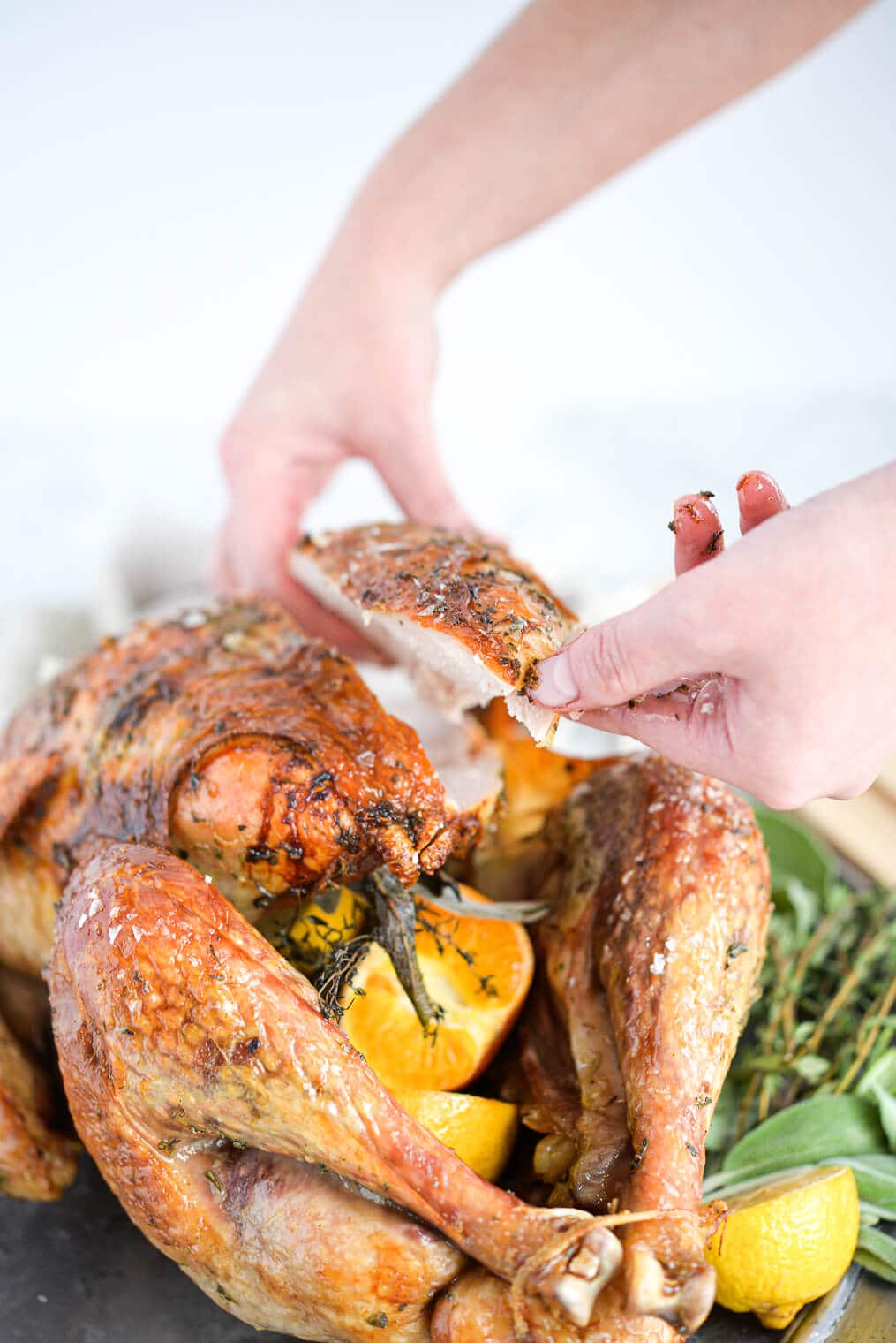 the breasts being carved from a whole roasted turkey