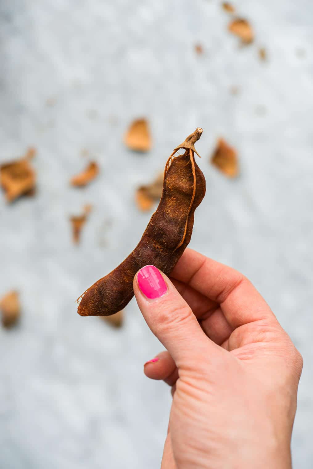 a woman holding an almost peeled tamarind pod