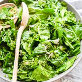 Best Spinach Salad with a Spicy Lemon Salad Dressing