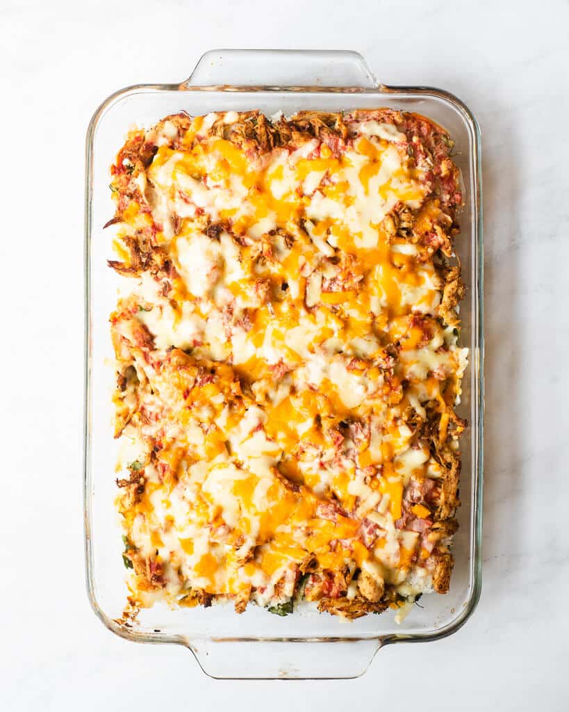 a full serving dish of chicken taco casserole without garnishes