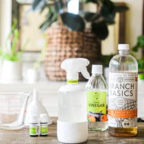 the ingredients for all purpose cleaner: branch basics concentrate, essential oils, and white vinegar sitting on a kitchen table