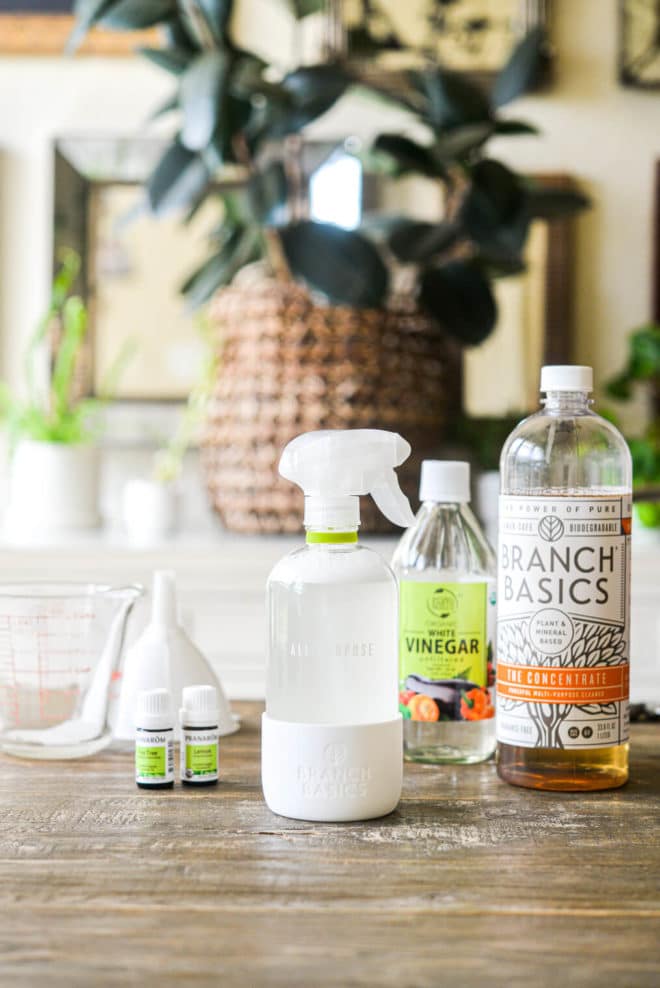 The Best Non Toxic Cleaning Products - Pure and Simple Nourishment