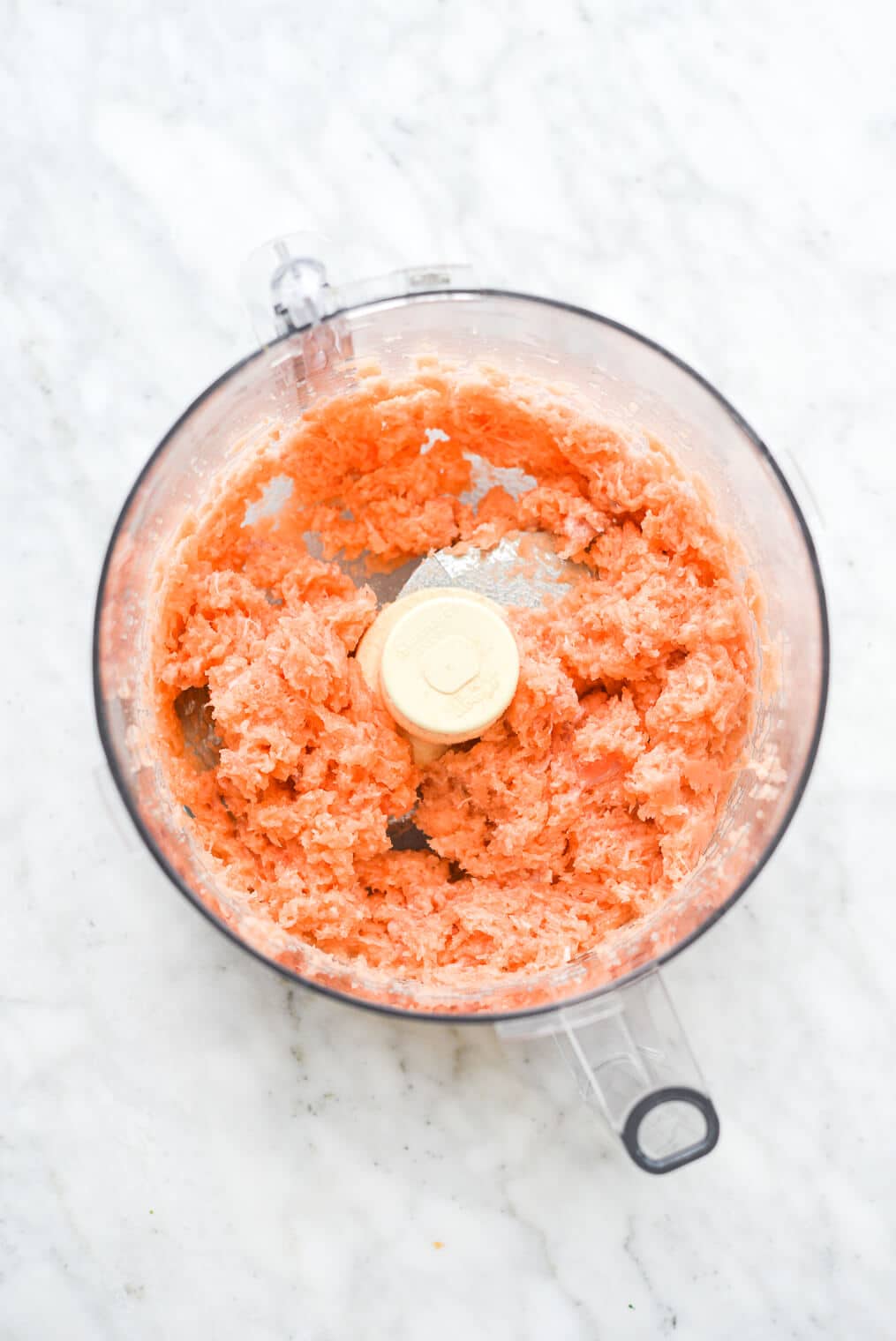 food processed salmon in a food processor