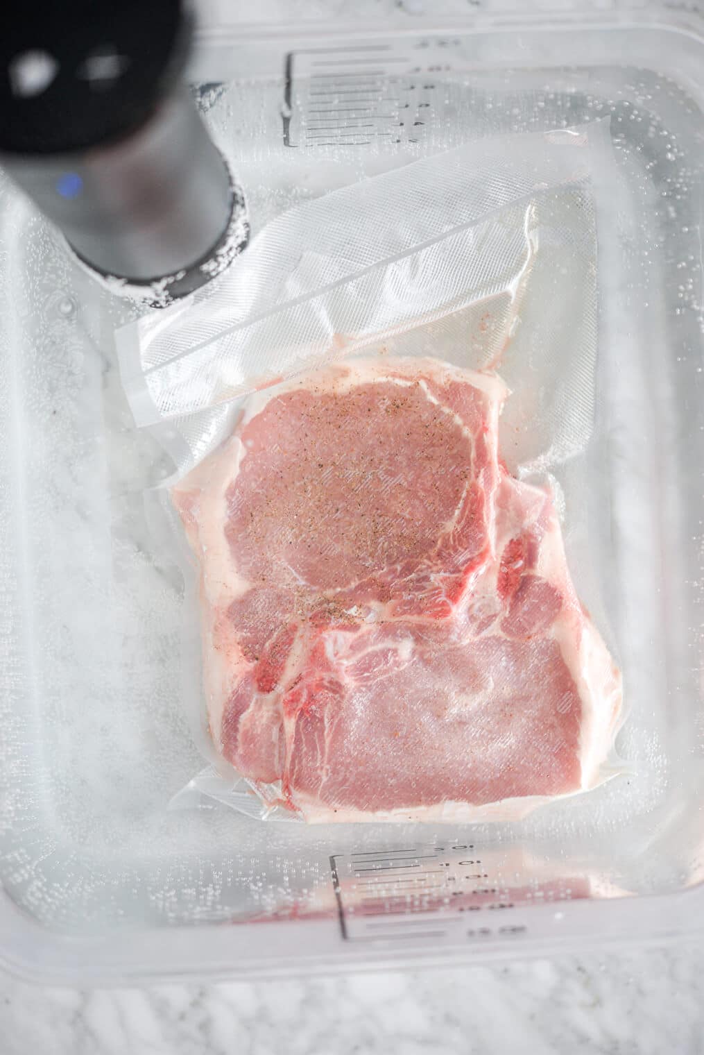 Two bone-in pork chops in a sous vide bag in water cooking sous vide style.