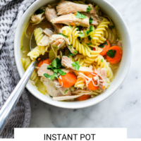 Bowl of chicken noodle soup with the words "Instant Pot Chicken Noodle Soup" written in black underneath and "Fed + Fit" in golden orange.