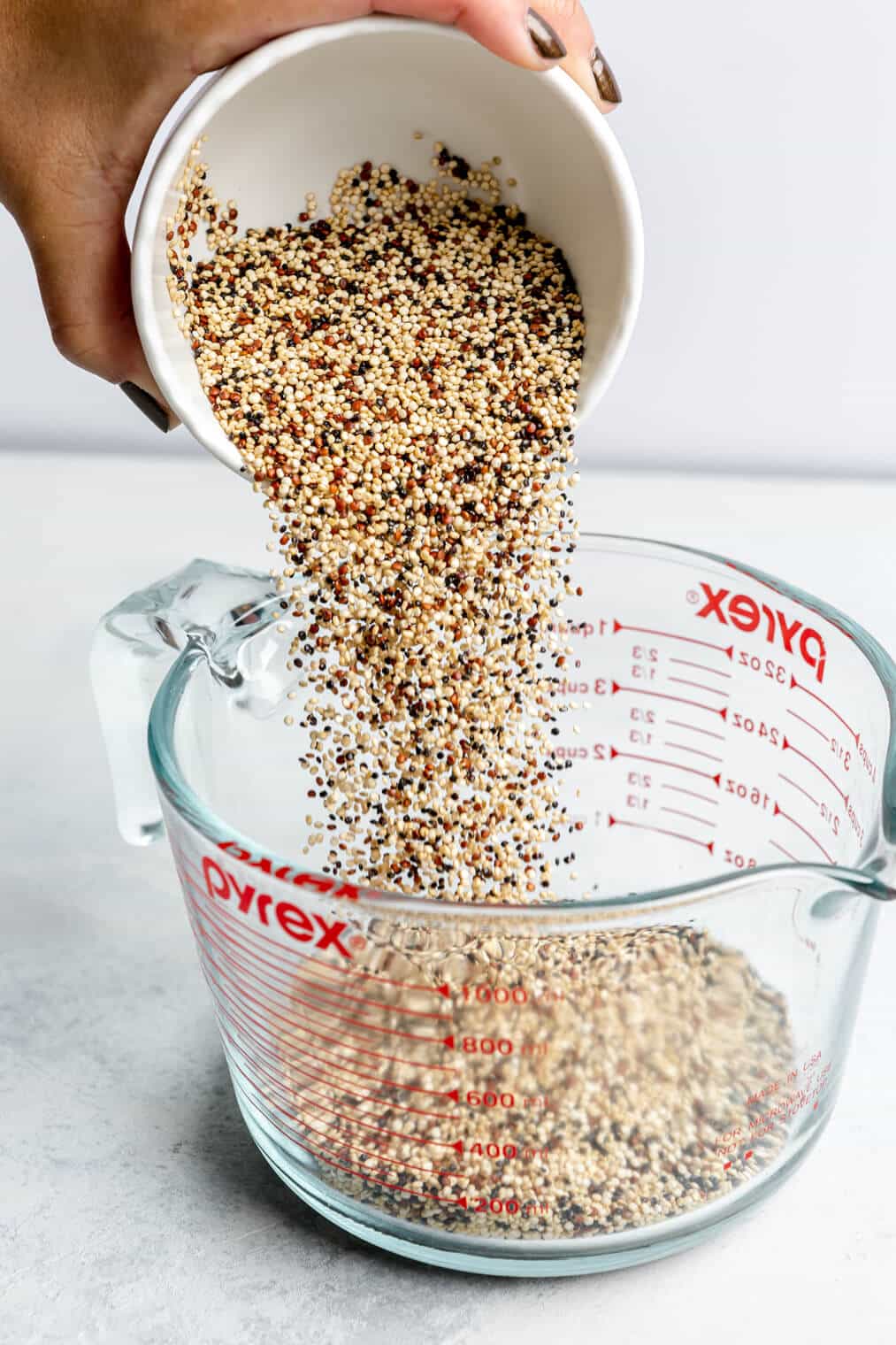 How to Cook Quinoa - Eating Bird Food