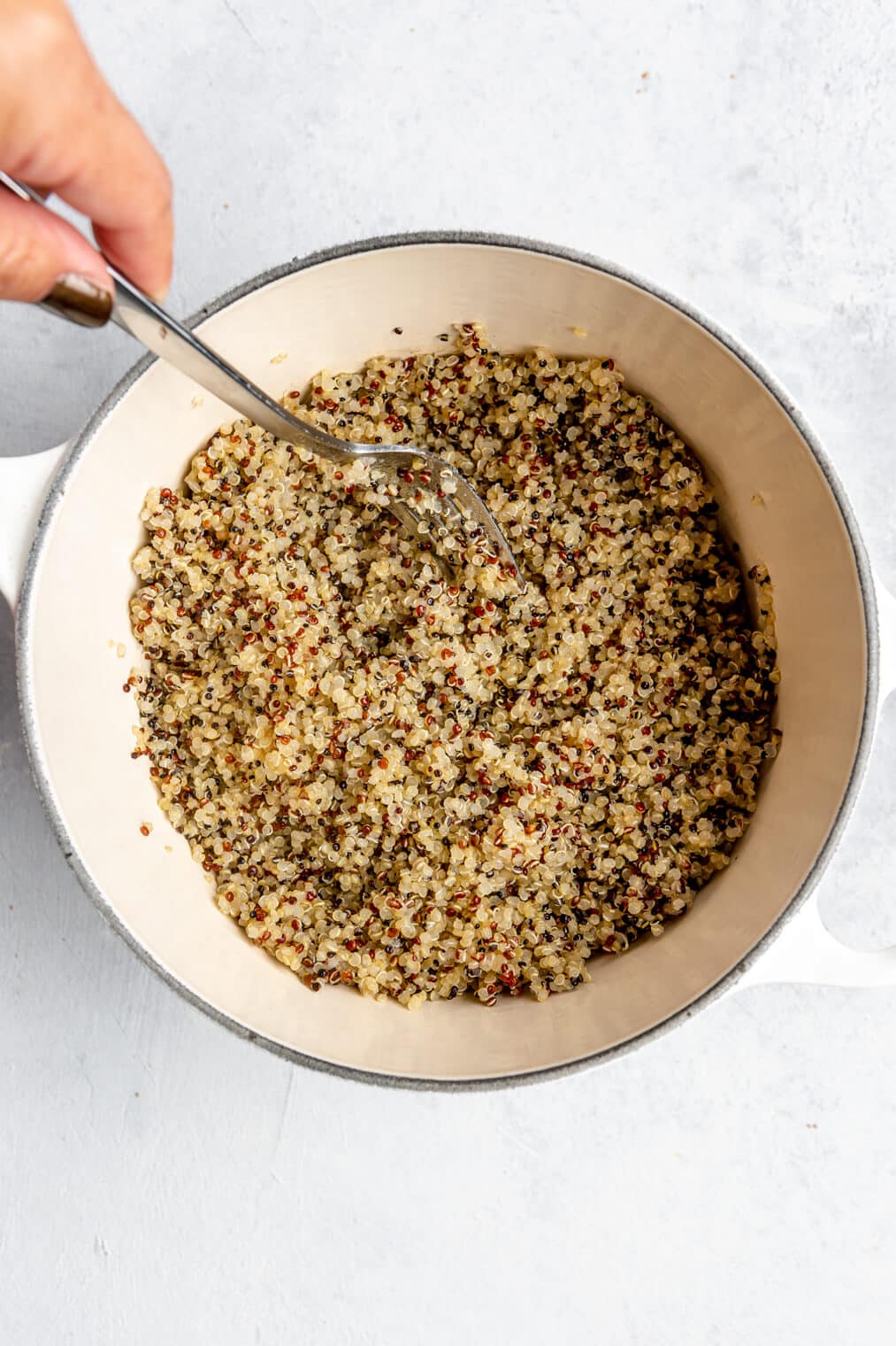 How to Cook Quinoa - Eating Bird Food