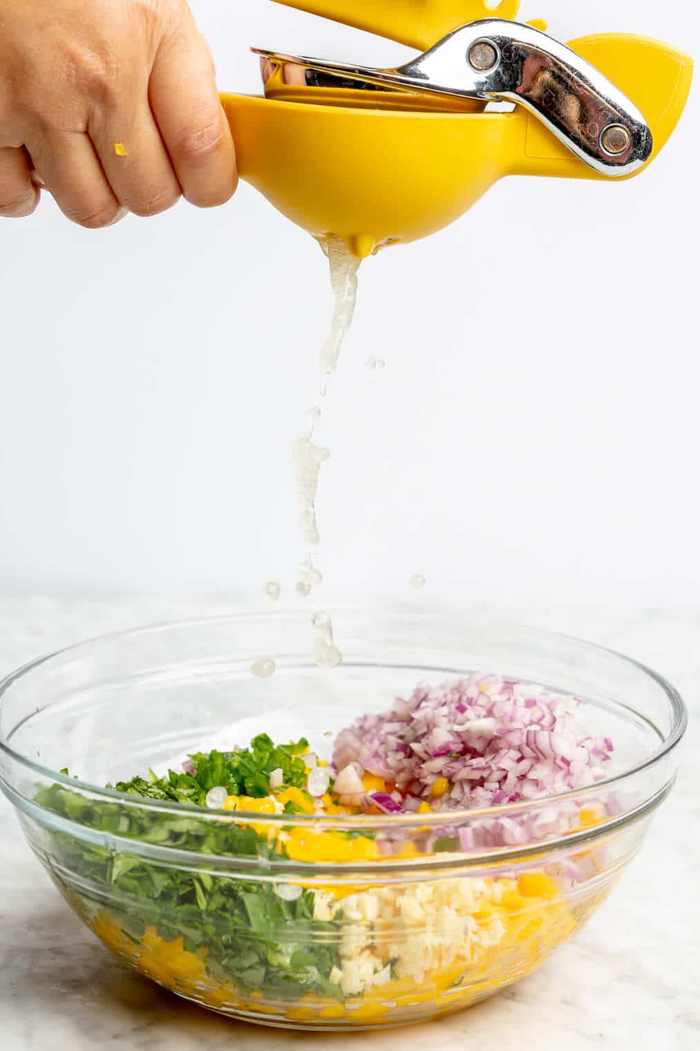 221207_Mango Salsa-10