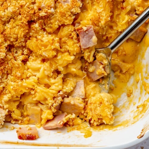 Cheesy Ham and Noodle Casserole - Fed & Fit