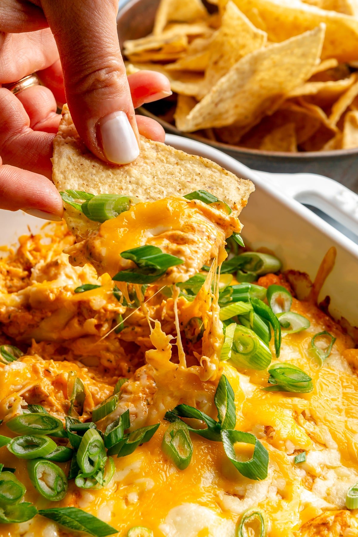 A person using a tortilla chip to scoop up buffalo chicken dip.