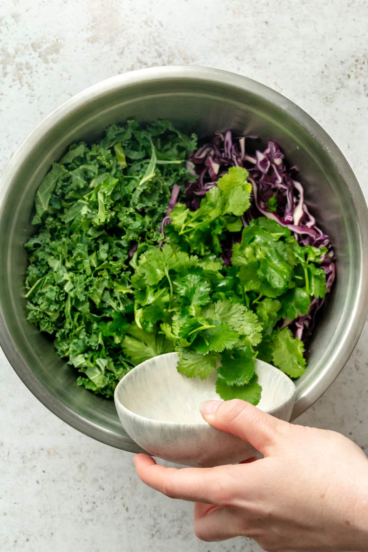 Coriander leaves are tossed into a large stainless steel bowl alongside chopped kale and red cabbage on a light grey surface.