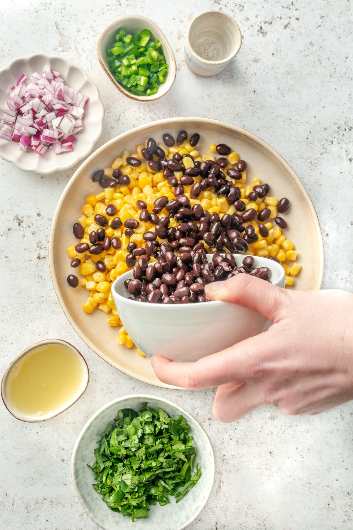 A person pouring a bowl of black beans onto a plate with corn to make black bean and corn salsa. Also pictured, salt, jalapenos, red onion, and cilantro in small bowls around the plate.