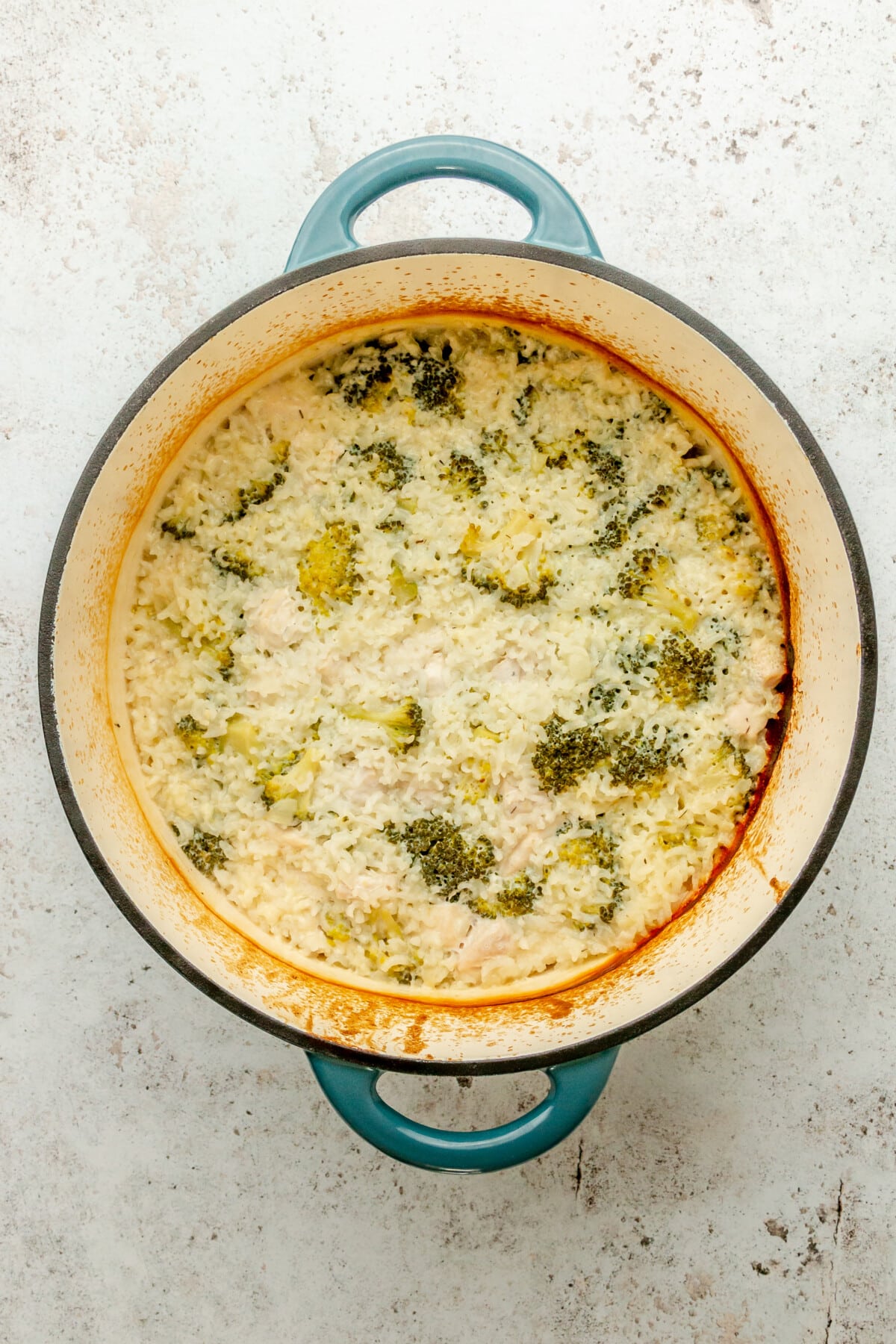 A pot filled with chicken broccoli and rice casserole sits baked in a large dutch oven on a light grey surface.