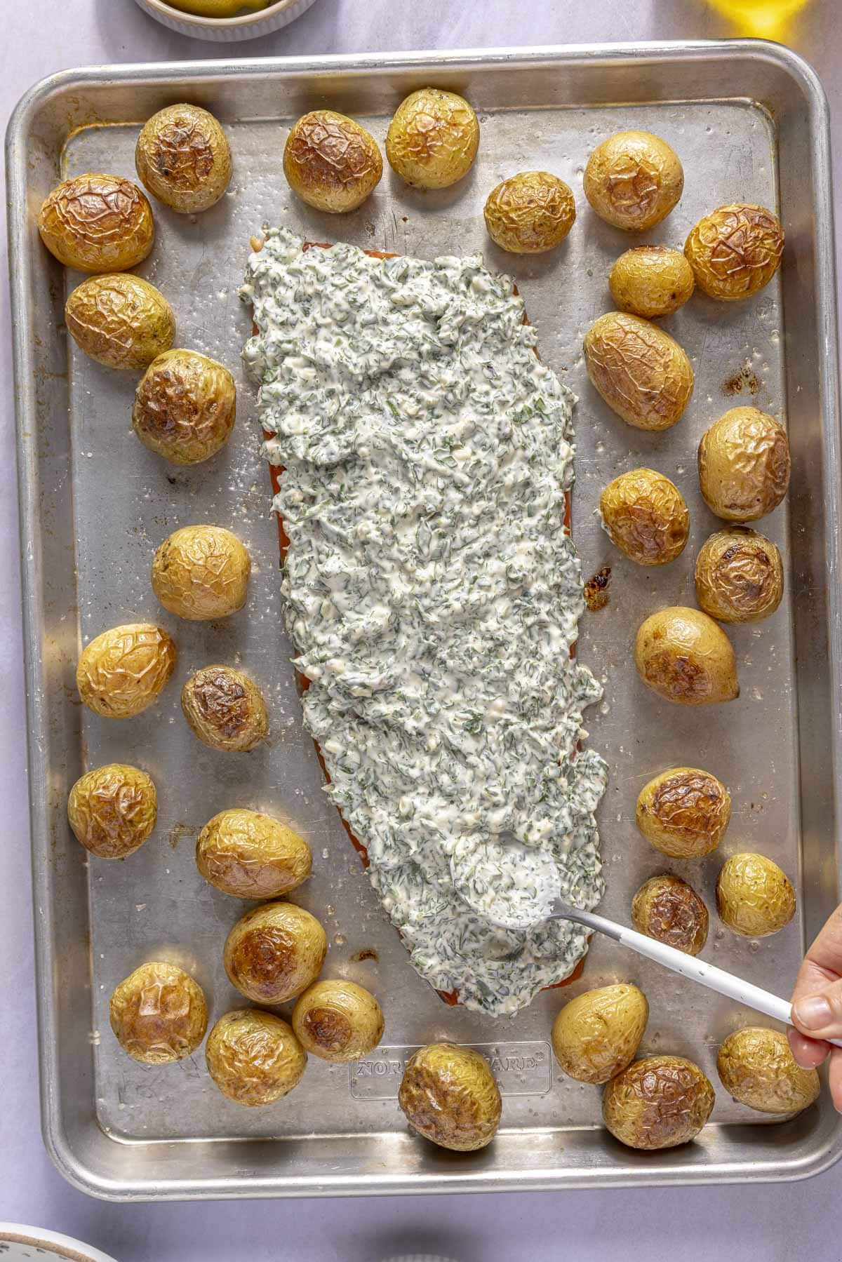 A large salmon fillet covered with an herb mayo sauce on a sheet pan surrounded by roasted baby potatoes.