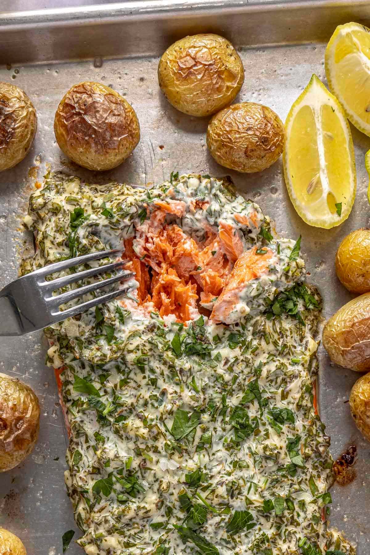 A large salmon fillet covered with an herb mayo sauce on a sheet pan surrounded by roasted baby potatoes.