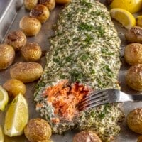 A large salmon fillet covered with an herb mayo sauce on a sheet pan surrounded by roasted baby potatoes.