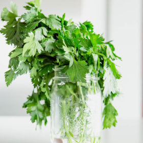 The Best Way to Store Fresh Herbs