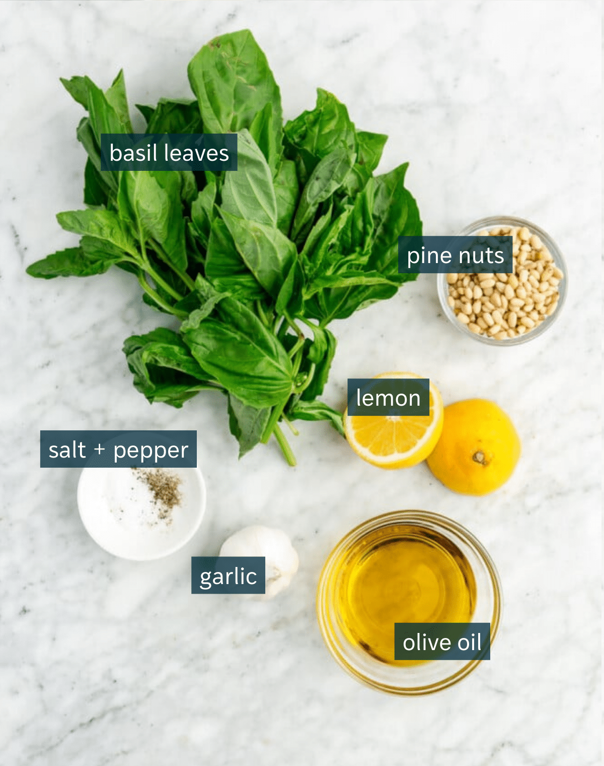Ingredients for dairy free pesto sit in a variety of bowls on a marble countertop.